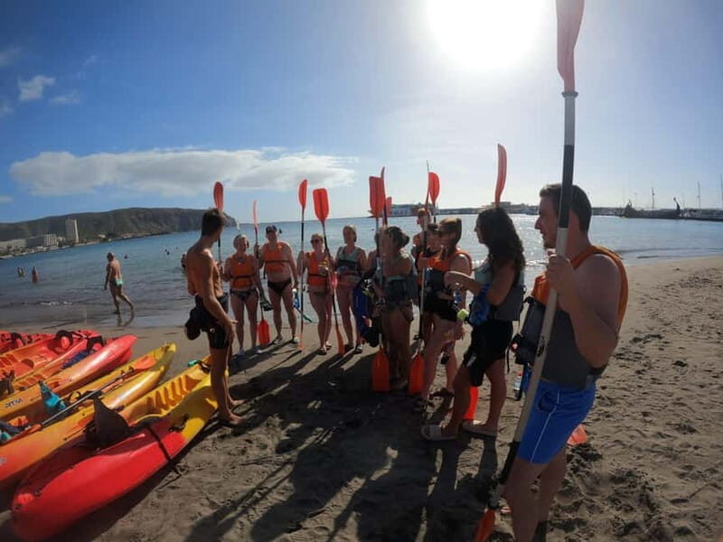 Tenerife: Kayak & Snorkel Tour with Snacks & Sea Life Safari - Guides Make or Break It: The Staff to Look For (and the Style You Want)