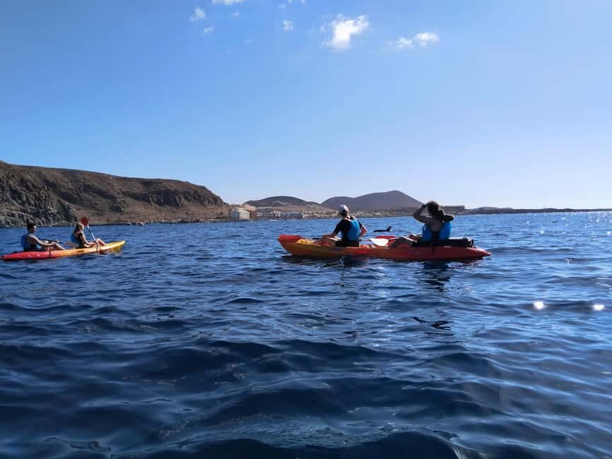 Tenerife: Kayak & Snorkel Tour with Snacks & Sea Life Safari - Wildlife Expectations: How to Think About Dolphins and Turtles