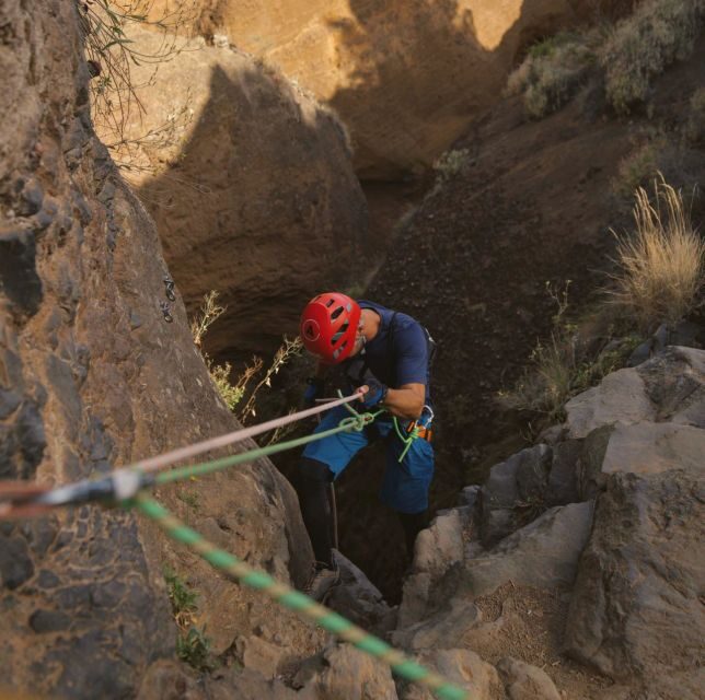 Tenerife: Los Arcos Canyoning Tour with Guide - Los Arcos Canyoning, Explained Like a Friend