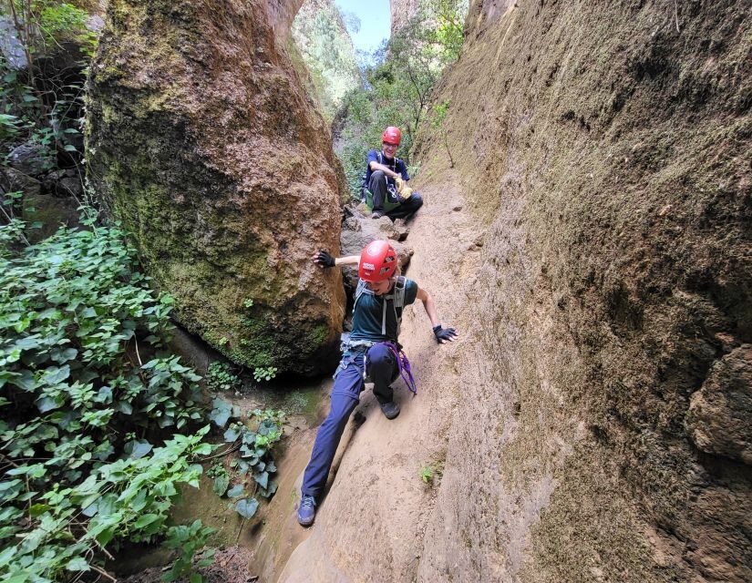 Tenerife: Los Arcos Canyoning Tour with Guide - First Rappel and the Canyon’s Volcanic “Why It Looks Like This”