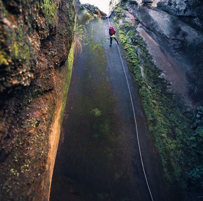 Tenerife: Los Arcos Canyoning Tour with Guide - Who This Tour Is Best For (and Who Should Skip It)