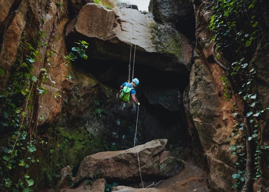 Tenerife: Los Arcos Canyoning Tour with Guide - Price and Value: Is $82 Worth It?