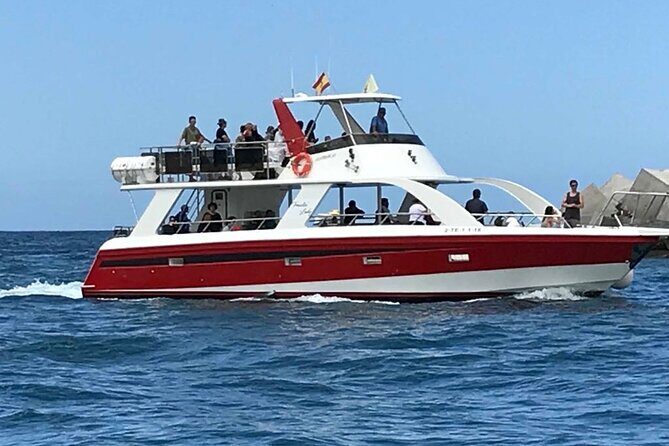 Tenerife Los Cristianos: Whale and Dolphin Eco-Yacht and Swim Stop - Los Cristianos to Playa de Los Cristianos: How the Swim Stop Works