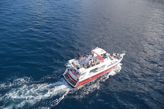 Tenerife Los Cristianos: Whale and Dolphin Eco-Yacht and Swim Stop - Meeting Point Reality: Where You Start and How Not to Miss Boarding