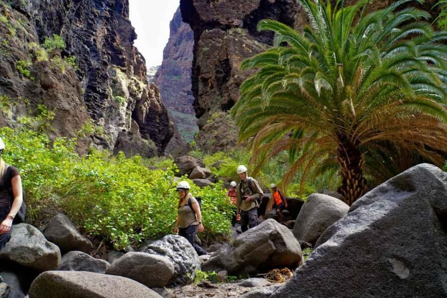Tenerife : Masca ravine: Descent & boat trip - The descent through the gorge: what 3.5 hours feels like