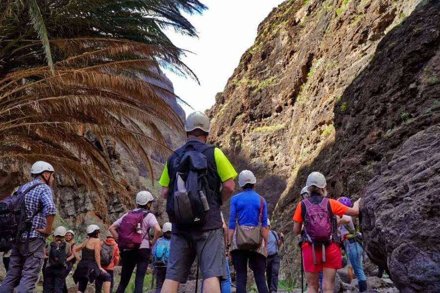 Tenerife : Masca ravine: Descent & boat trip - Stop-by-stop flow: from Masca to the cliffs