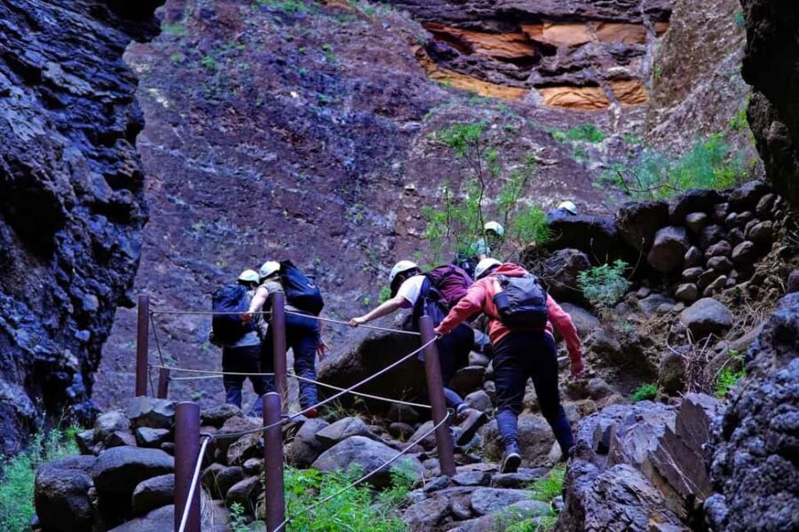Tenerife : Masca ravine: Descent & boat trip - Your guide: safety, story, and the small details that keep things smooth