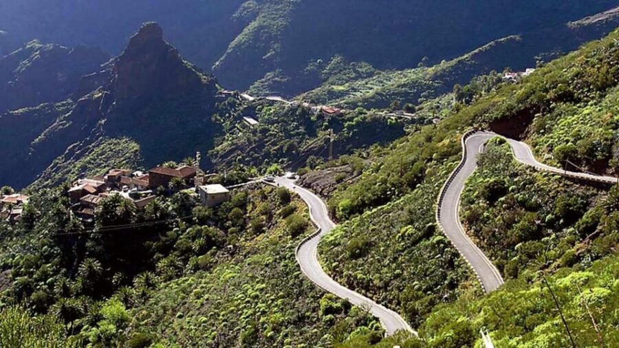 Tenerife: Mt. Teide and Masca Valley Tour - Dragon Tree in Icod: short stop, big personality