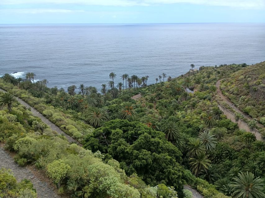 Tenerife: North Coast Landscapes Private Day Tour - Key things that make this tour worth it