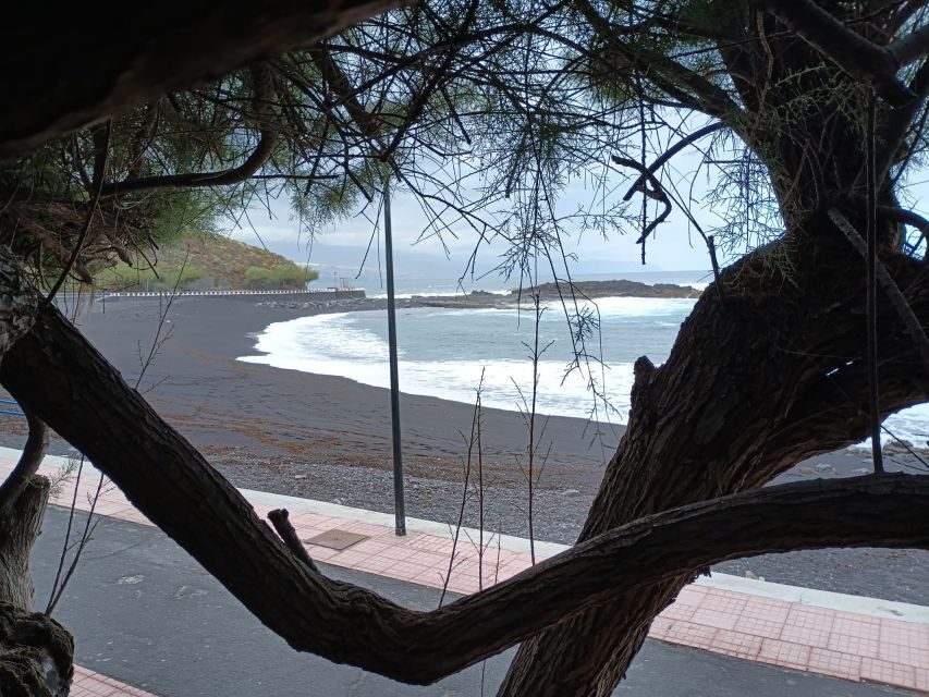 Tenerife: North Coast Landscapes Private Day Tour - Price and Value: When $115 Makes Sense