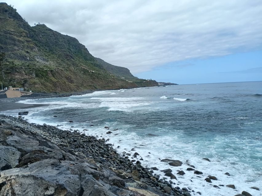 Tenerife: North Coast Landscapes Private Day Tour - The Private-Guide Advantage (Where the Day Actually Gets Better)