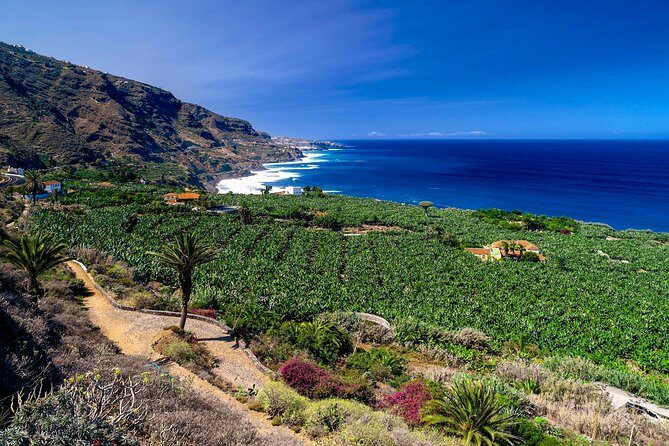 Tenerife North Private Tour: Through Villages and Ports - Key Things to Know Before You Go