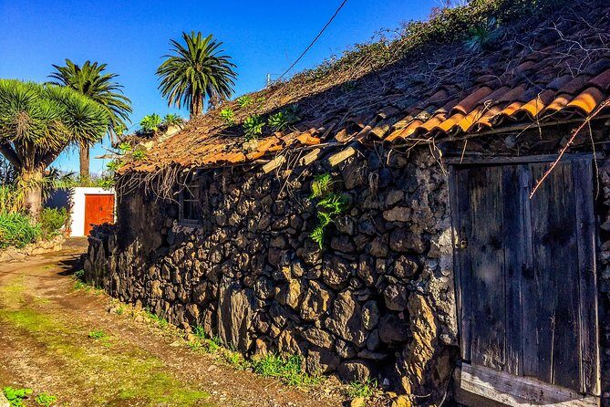 Tenerife North Private Tour: Through Villages and Ports - Icod de los Vinos and the Oldest Dragon Tree in the Canaries
