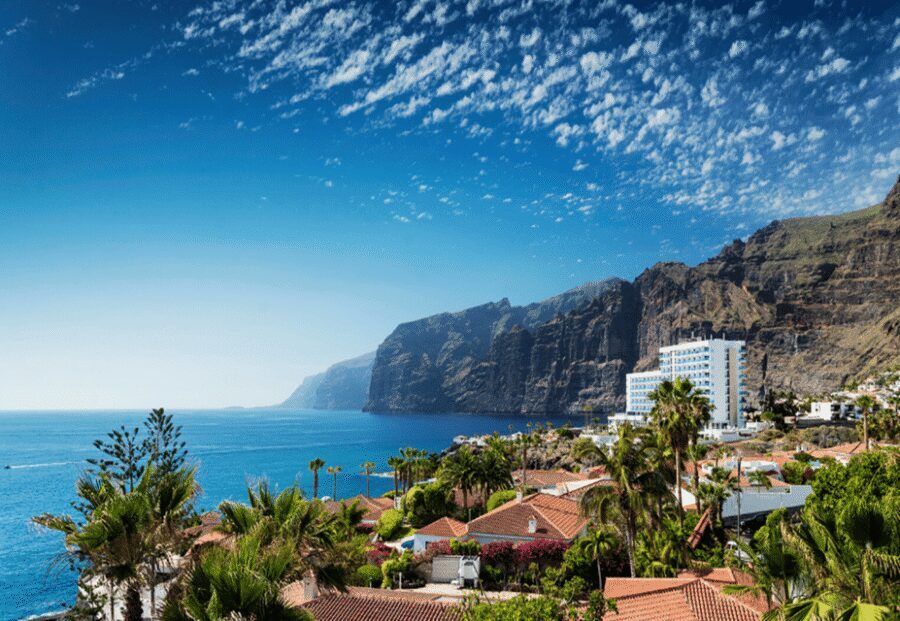 Tenerife: Private Day Tour of the Island with Hotel Pickup - Key things to know before you go