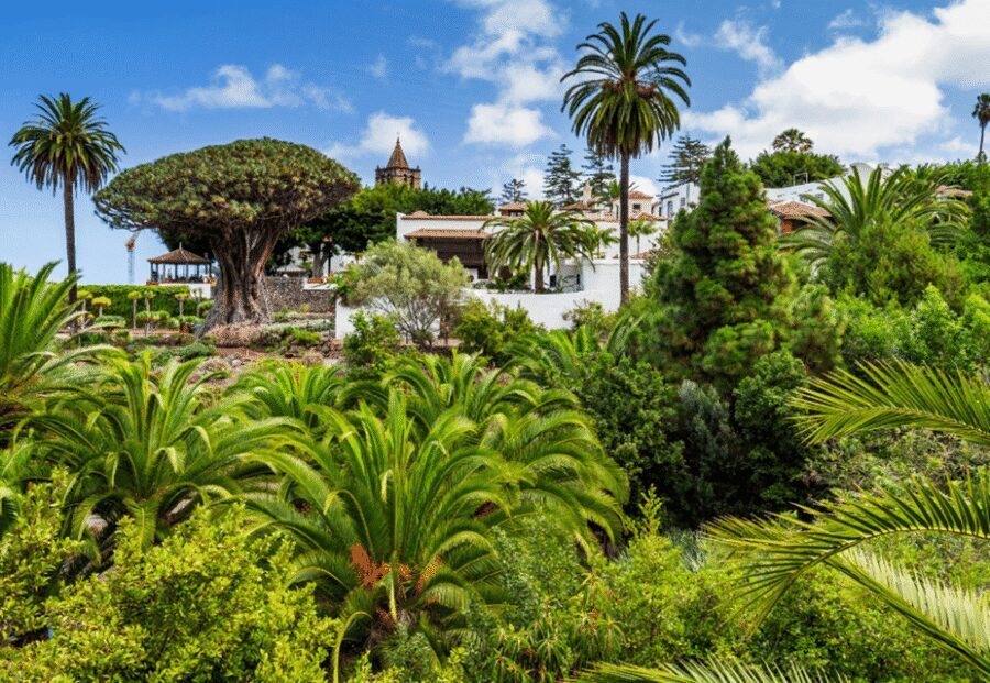 Tenerife: Private Day Tour of the Island with Hotel Pickup - Candelaria and Santa Cruz: Start at the Shrine, End with City Energy