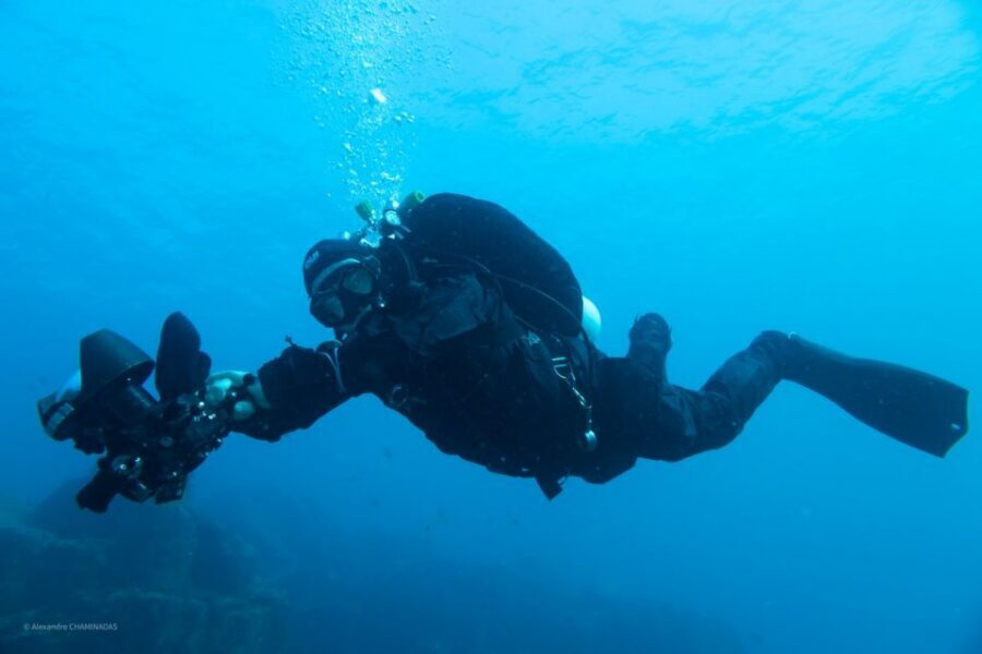 Tenerife : Private Dive for Beginners from a Boat - Marine life in the Canaries: what you can hope to see