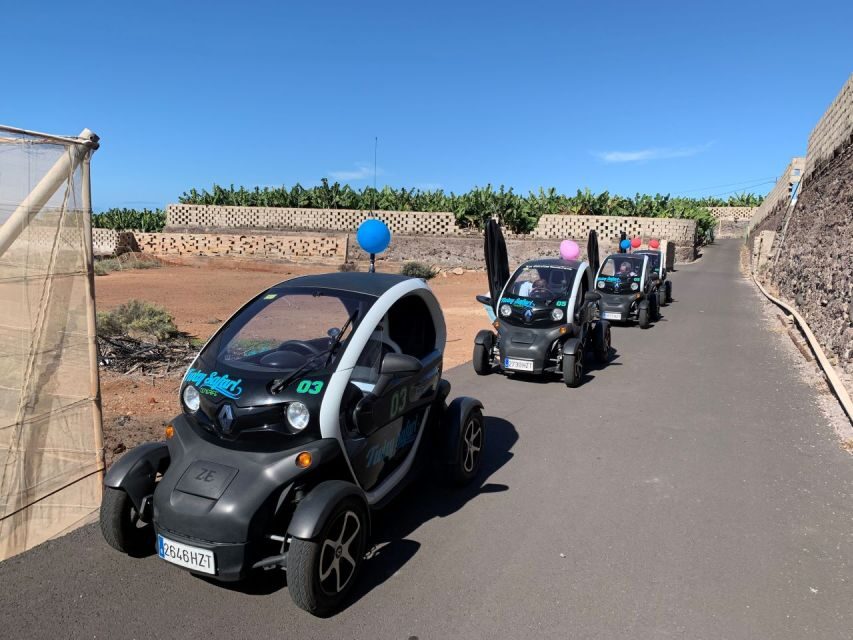 Tenerife: Private Renault Twizy Tour - Coffee and local flavors: the Canarian café stop that actually matters