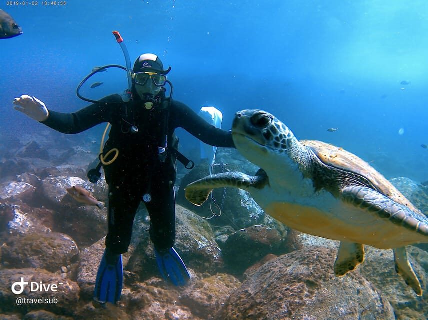 Tenerife: Puerto Colon Discover Scuba Diving Trip - Key highlights you’ll feel in your schedule