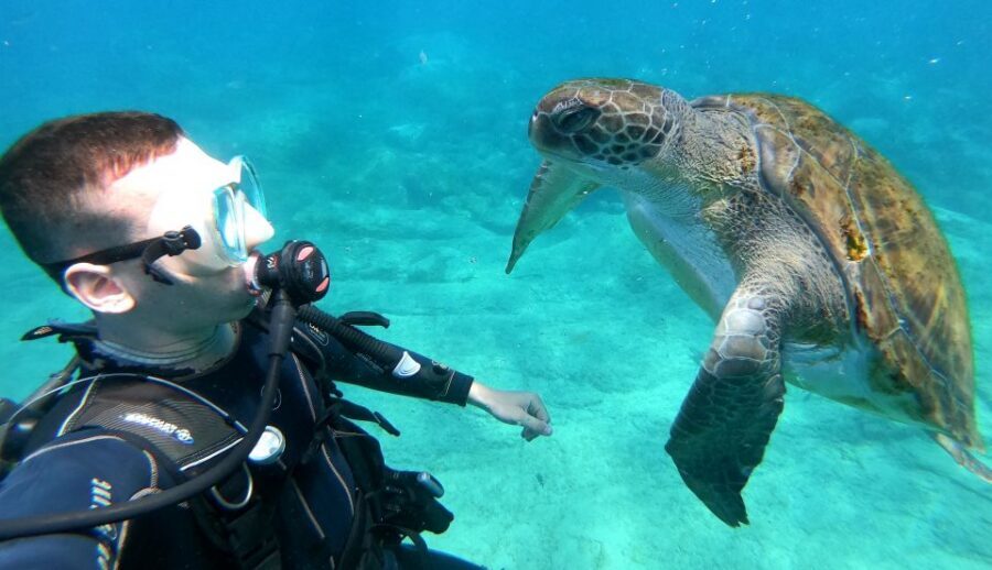 Tenerife: Puerto Colon Discover Scuba Diving Trip - Where You Start in Puerto Colón: Easy to Find, Right by the Pier