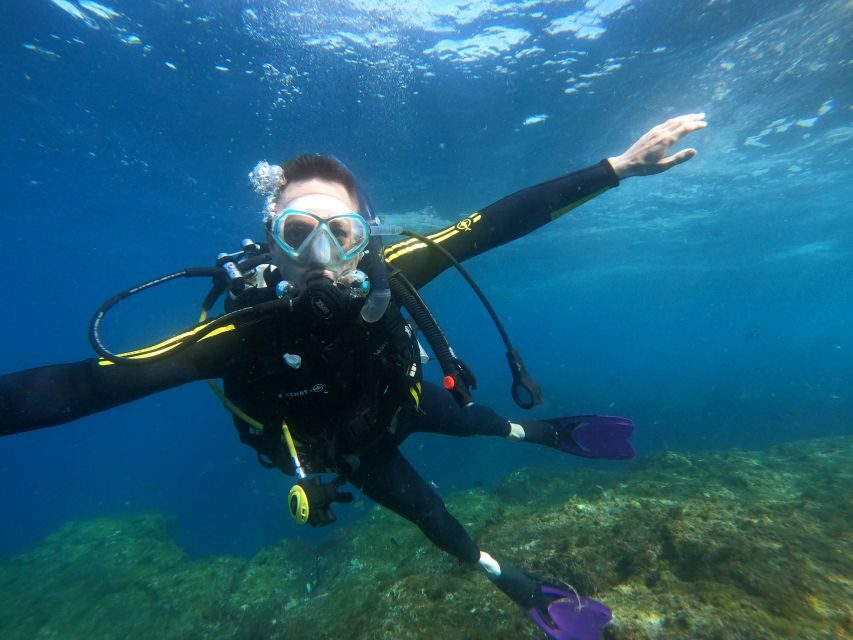 Tenerife: Puerto Colon Discover Scuba Diving Trip - Your Underwater Session to 12 Meters: Wildlife, Buoyancy, and Real Breathing