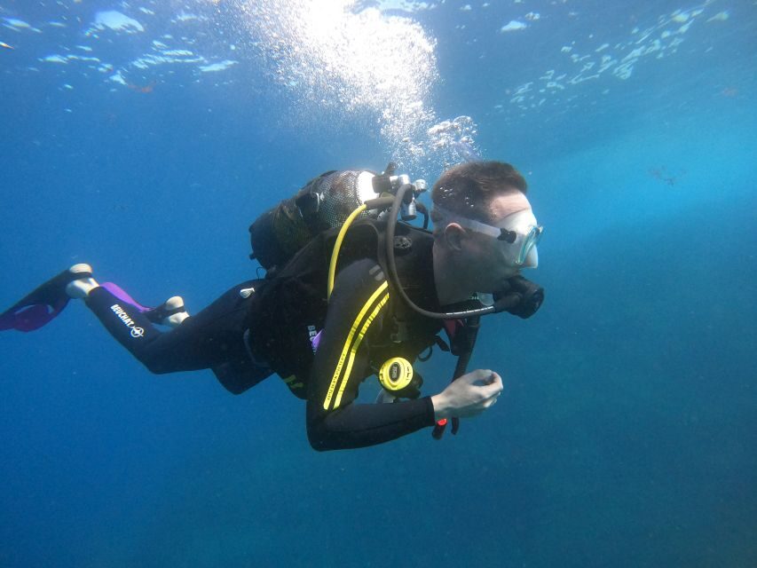 Tenerife: Puerto Colon Discover Scuba Diving Trip - Photos, Videos, and Proof You Were There