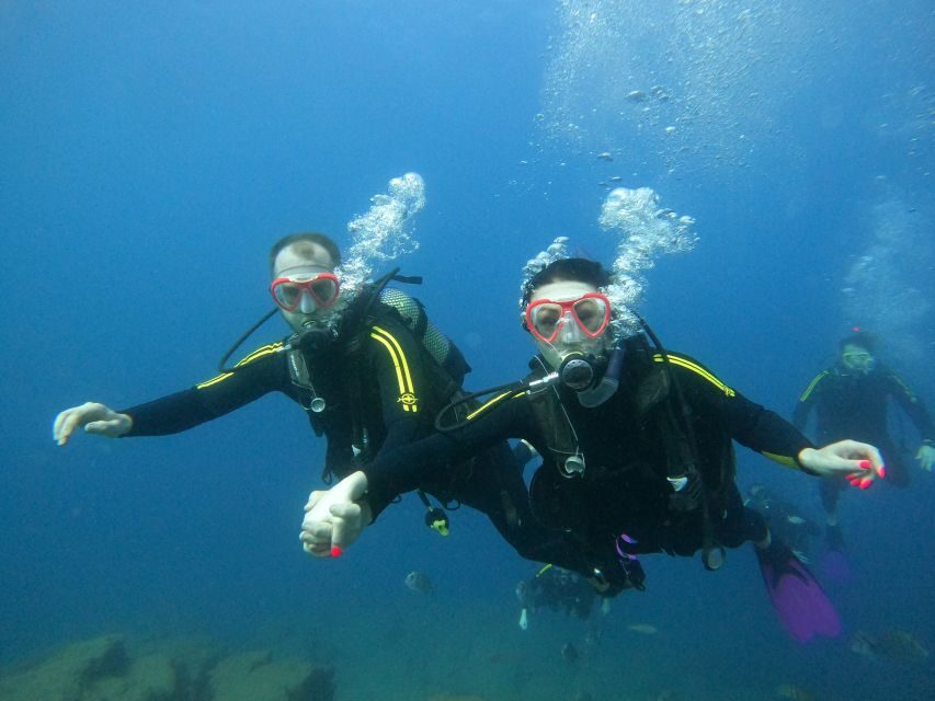Tenerife: Puerto Colon Discover Scuba Diving Trip - Price and Value: Why $113 Can Make Sense