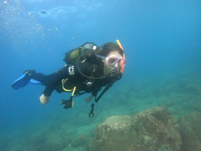 Tenerife: Puerto Colon Discover Scuba Diving Trip - Who This Trip Fits Best (and Who Should Skip It)