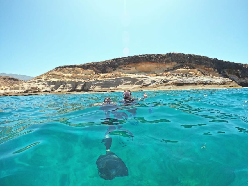 Tenerife: Puerto Colon Snorkel Safari by Speed Boat - Key things I’d focus on before you go