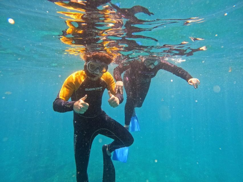 Tenerife: Puerto Colon Snorkel Safari by Speed Boat - How the Puerto Colón Snorkel Safari actually feels on Tenerife