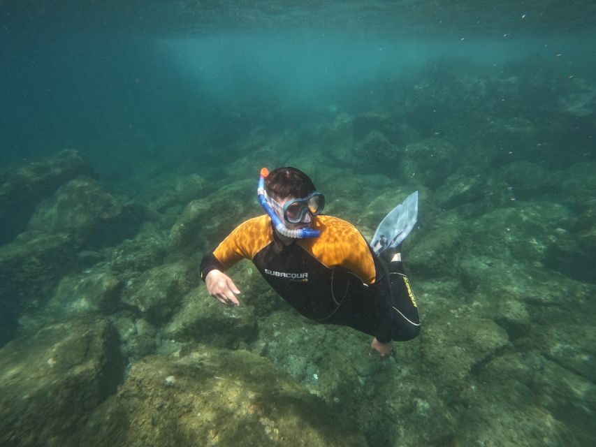 Tenerife: Puerto Colon Snorkel Safari by Speed Boat - The 30-minute safety briefing: where the confidence comes from