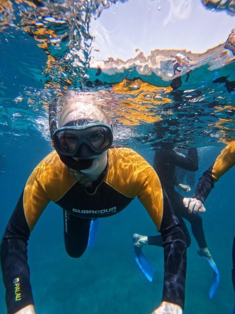 Tenerife: Puerto Colon Snorkel Safari by Speed Boat - Snorkeling in the secluded bay: your main hour