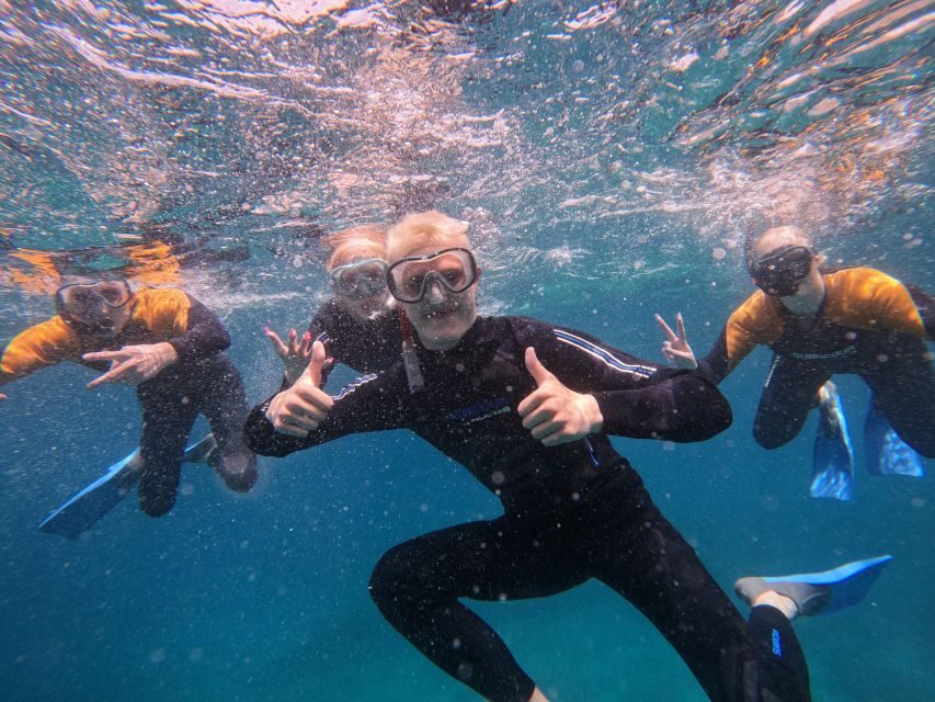 Tenerife: Puerto Colon Snorkel Safari by Speed Boat - Meeting at Zero Gravity Tenerife (in front of dock 3)
