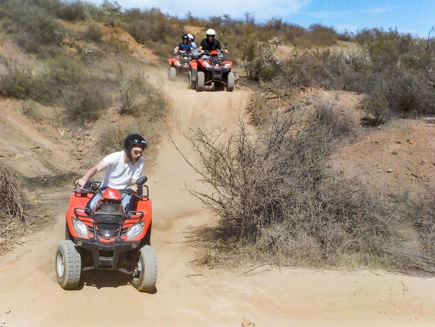 Tenerife: Quad Adventure Tour in Teide National Park - Price and value at $94: what you get for your money