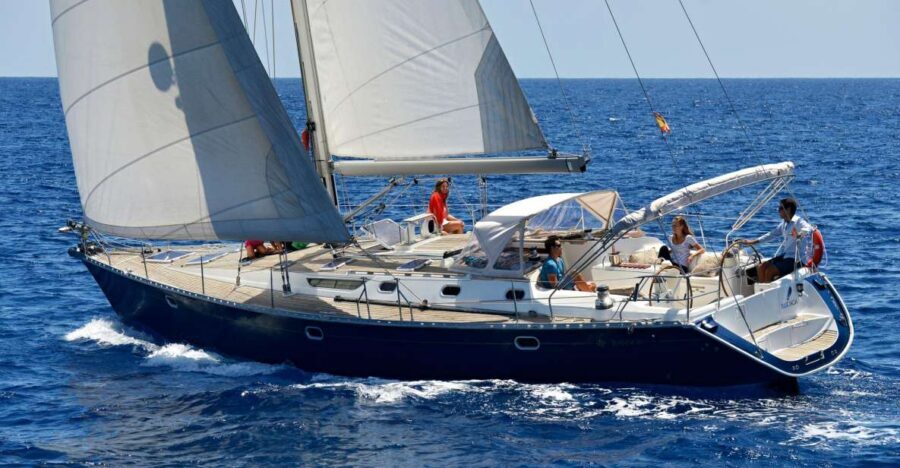 Tenerife: Sailing Excursion with Whale and Dolphin Watching - Key highlights at a glance