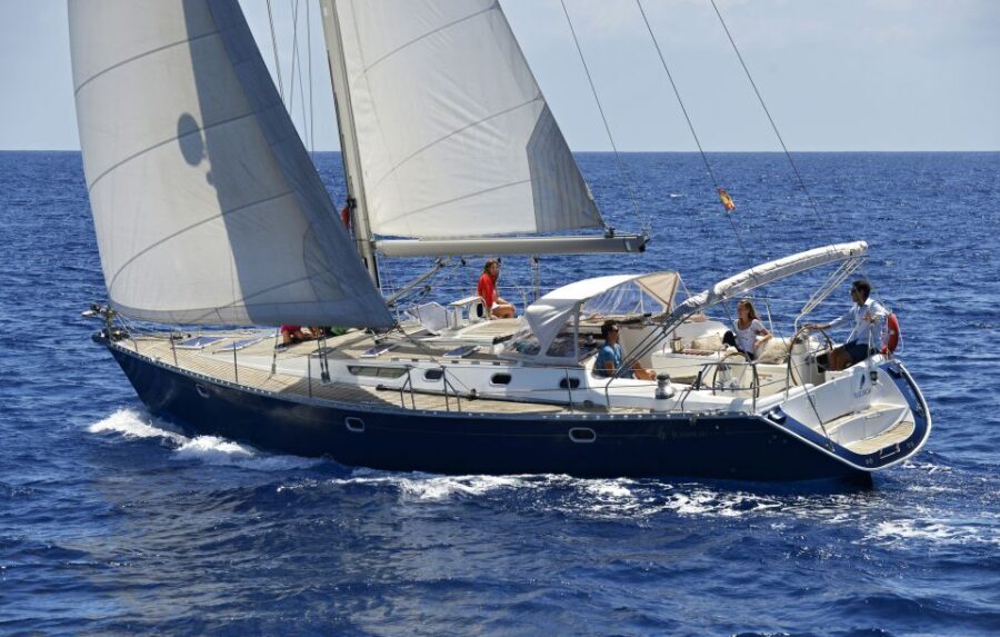 Tenerife: Sailing Excursion with Whale and Dolphin Watching - What a typical 3-hour flow feels like on the water