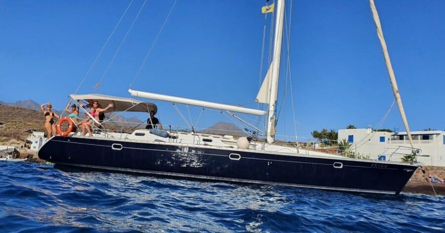 Tenerife: Sailing Excursion with Whale and Dolphin Watching - Swimming and snorkeling in a secluded bay: what you actually do