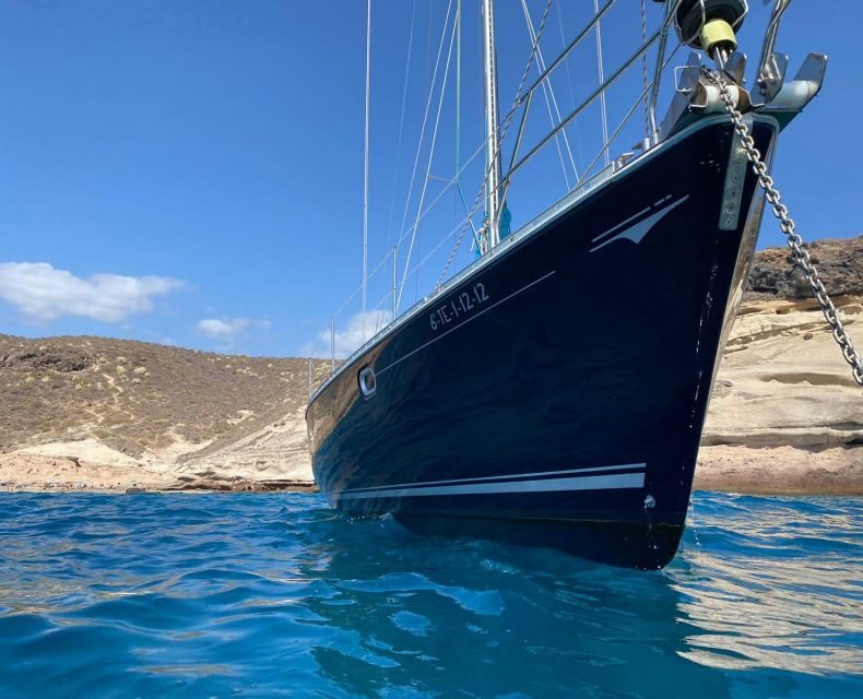 Tenerife: Sailing Excursion with Whale and Dolphin Watching - Who this trip is best for (and who should rethink it)
