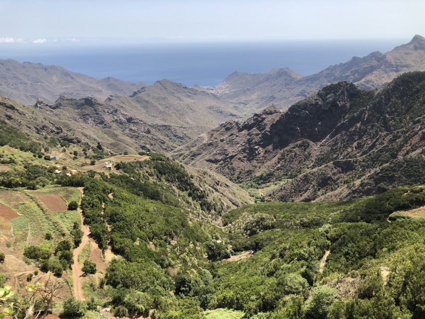 Tenerife: Santa Cruz, La Laguna and Anaga Tour - The bus day reality: pickups, air-conditioning, and timing