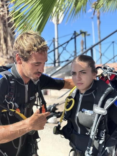 Tenerife: Scuba Dive & Fun, Discover the Magic of the Ocean - The Short Stops: Scenic Views and Wildlife Viewing on the Side