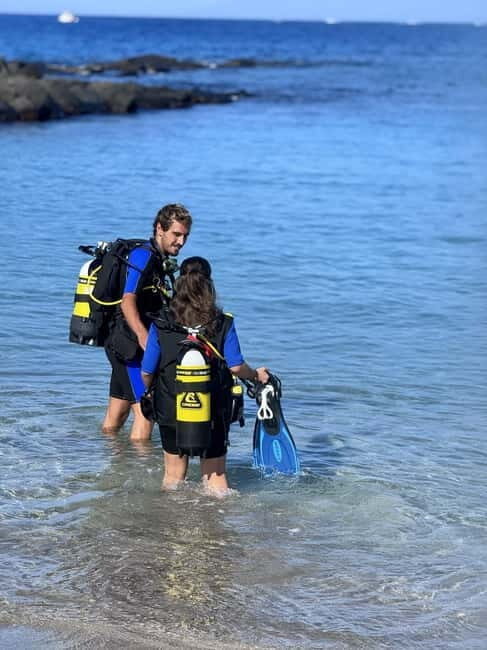Tenerife: Scuba Dive & Fun, Discover the Magic of the Ocean - Photos, Videos, and Your Participation Certificate