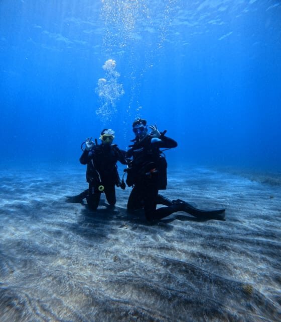 Tenerife: Scuba Diving Experience for Every Level - Who This Suits Best (And Who Should Rethink It)