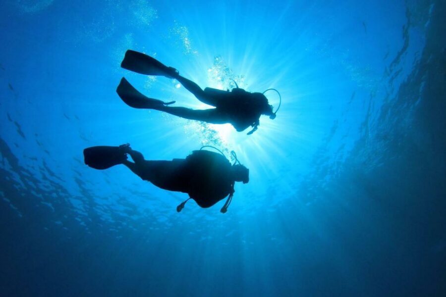 Tenerife: Scuba Diving Experience with Instructor and Gear - Your Tenerife Scuba Plan: Where You Start and What Actually Happens