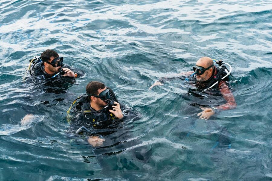Tenerife: Scuba Diving Experience with Instructor and Gear - Picking the Best Bay: La Caleta and the Options If the Sea Shifts