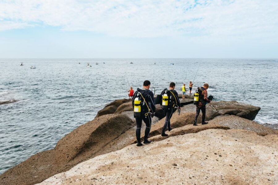 Tenerife: Scuba Diving Experience with Instructor and Gear - Getting Into the Water: Gear, Control, and That Wildlife-First Moment