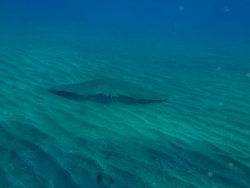 Tenerife Scuba Diving for Certified Divers - Abades Beach sets the tone for your whole day