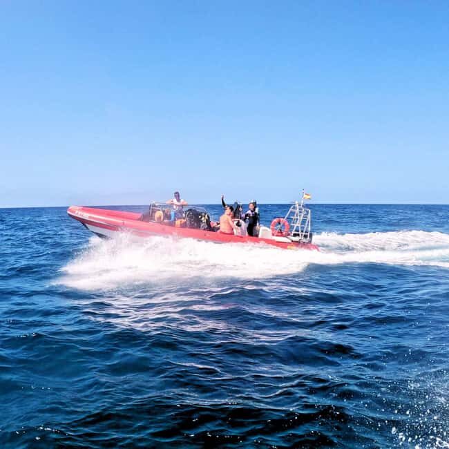 Tenerife: Scuba Diving for Certified Divers in Tenerife - Wrecks and Caves: Where the Day Feels More Adventurous