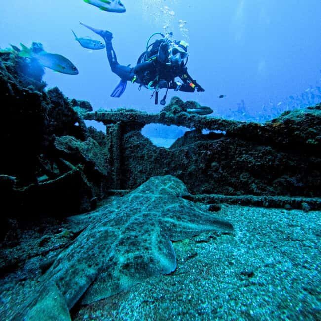 Tenerife: Scuba Diving for Certified Divers in Tenerife - After-Dark Sessions for Atlantic Giants (How to Think About It)