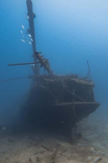 Tenerife: Scuba Diving for Certified Divers in Tenerife - Price and Value: Why $63 Can Make Sense