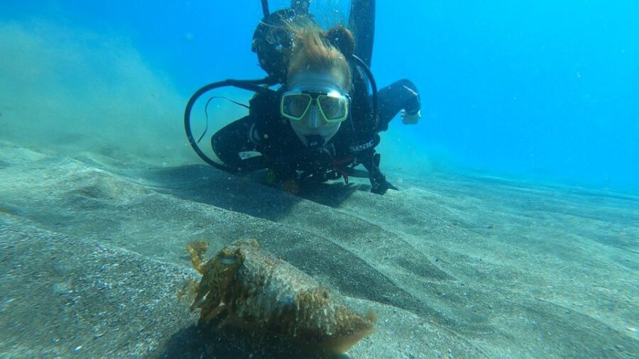 Tenerife: Scuba Diving Lesson and Abades Protected Area Dive - Practical tips for a calmer first underwater session