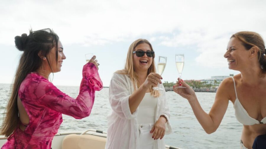 Tenerife: Shared Yacht Cruise with Champagne and Tapas - The return pass: another wildlife scan plus more coastline views